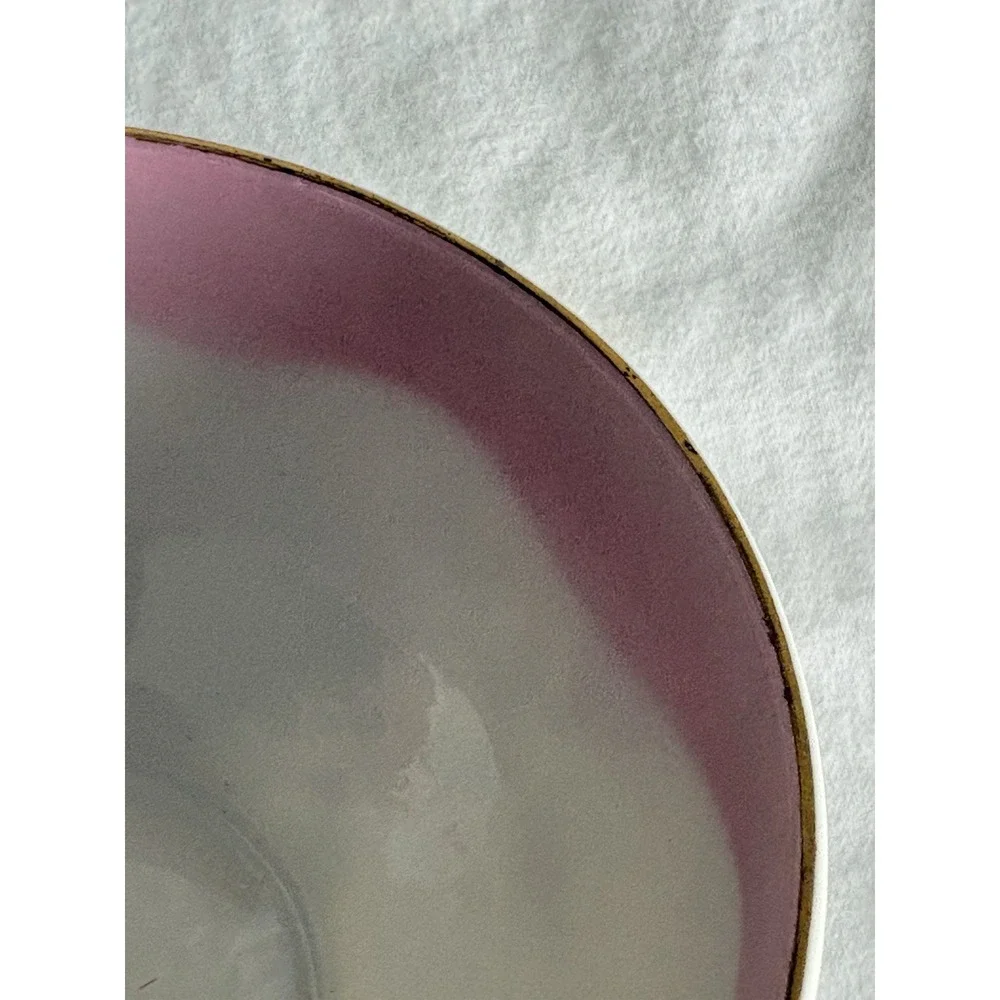 VTG Lefton English Bone China Pink Rose Mother Coffee TeaCup and Saucer‎ Boho LG